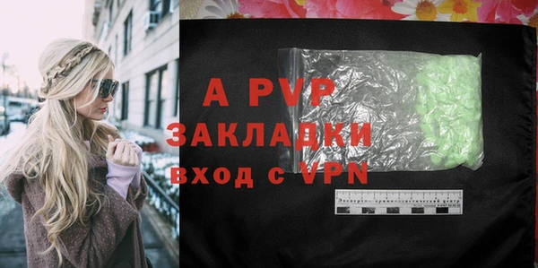 apvp Вяземский