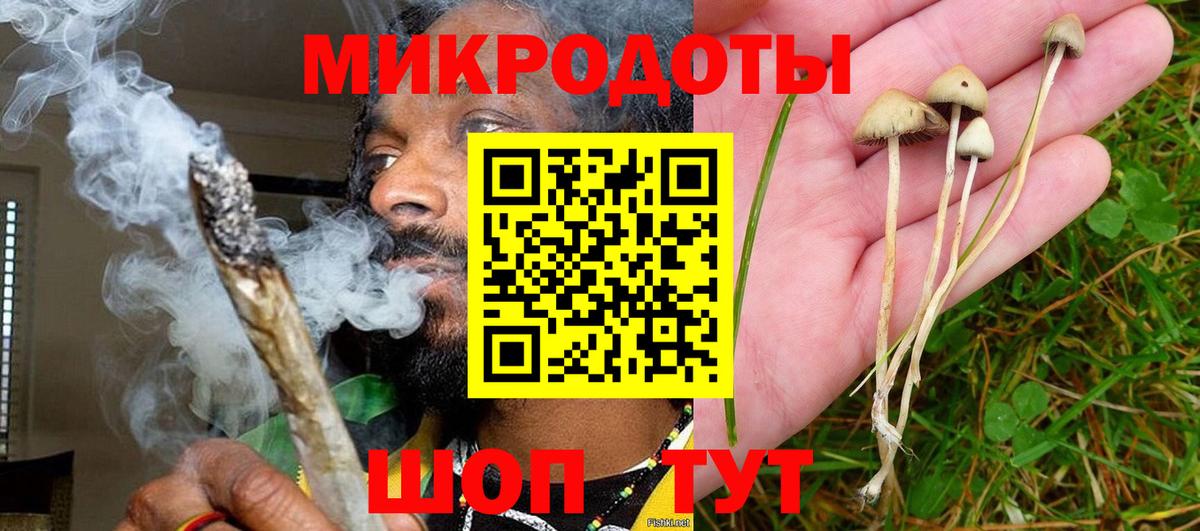 Ярцево  Галлюциногенные грибы ЛСД  Вход с VPN 